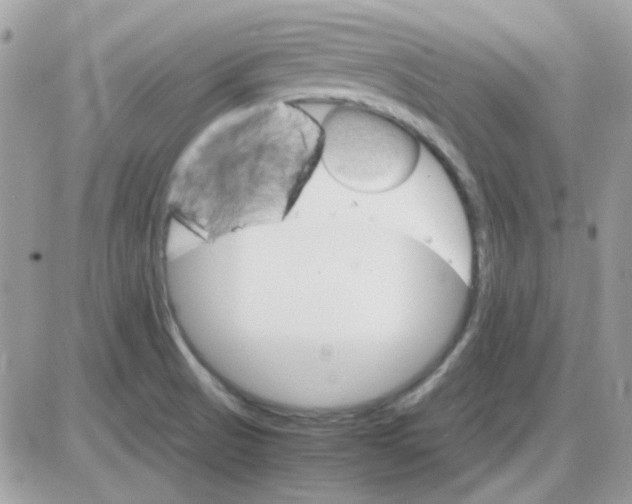 X0000085841521200704132050