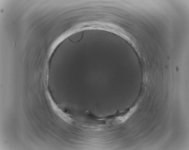 X0000085841522200704132050