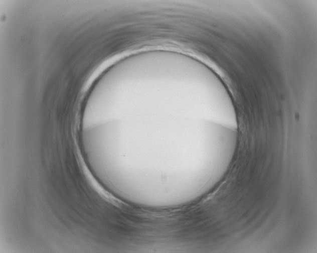 X0000085841523200704132050