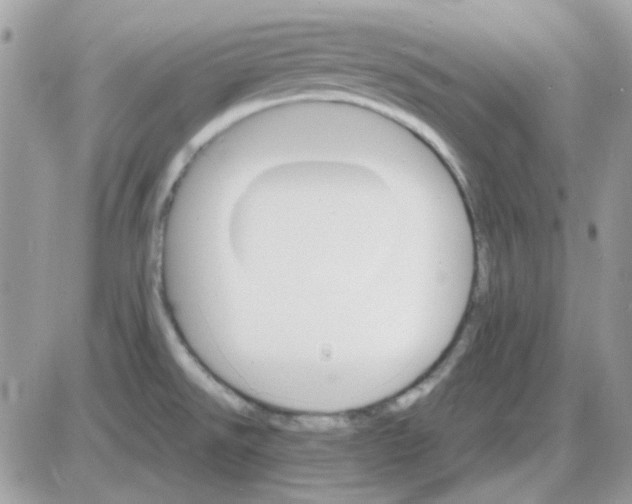 X0000085841526200704132050