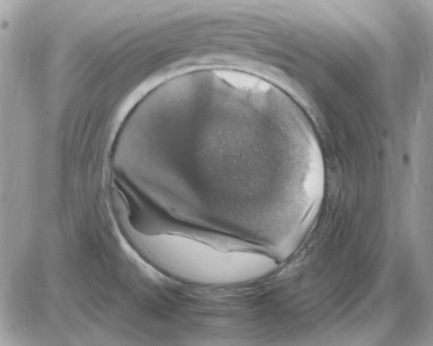 X0000085841527200704132050