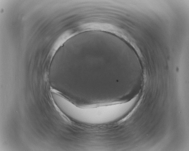 X0000085841529200704132050