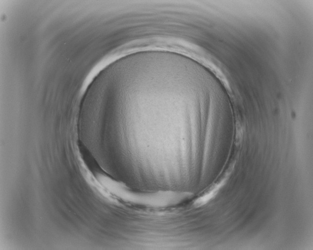 X0000085841530200704132050