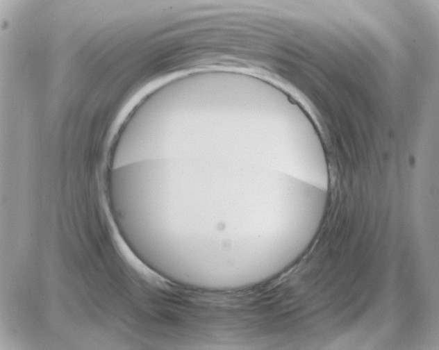 X0000085841531200704132050