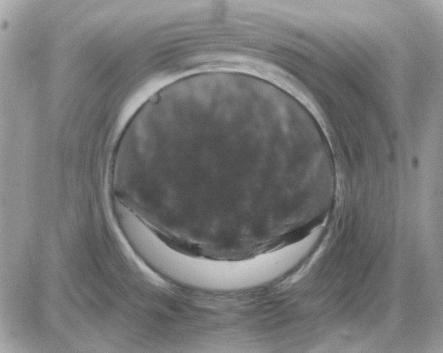 X0000085841533200704132050