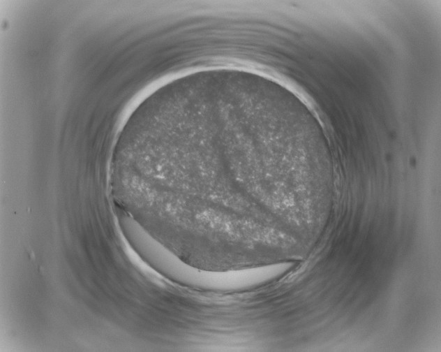 X0000085841535200704132050