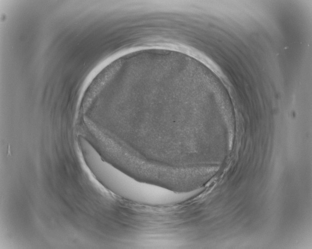 X0000085841536200704132050