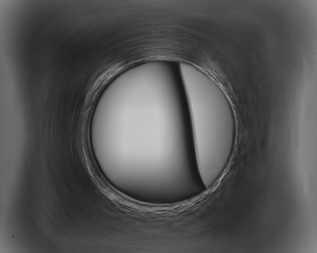 X0000086000001200703230859