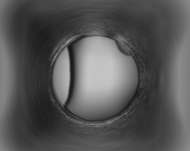 X0000086000002200703230859