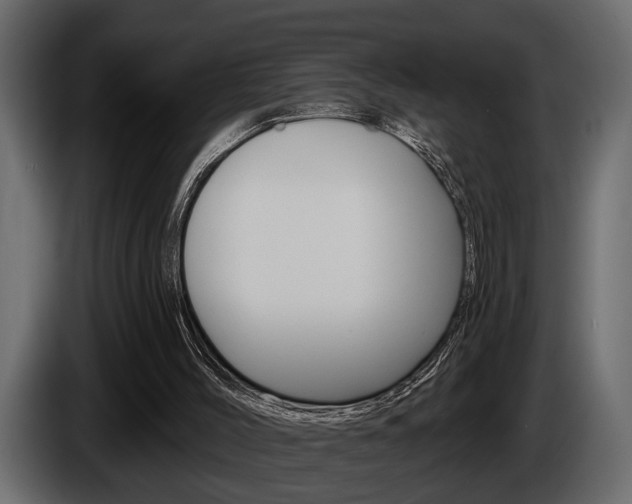 X0000086000004200703230859