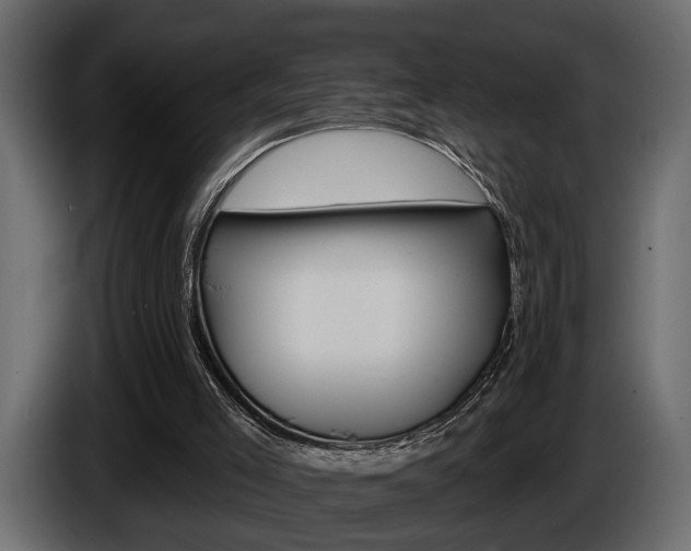 X0000086000005200703230859