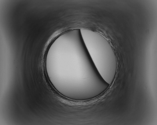 X0000086000006200703230859