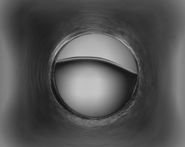 X0000086000007200703230859
