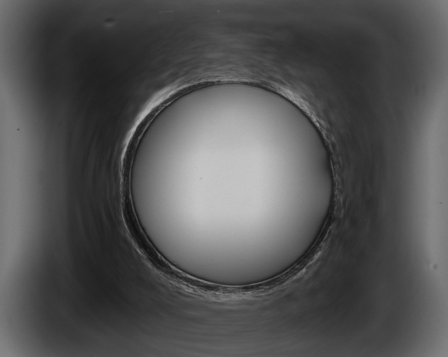 X0000086000008200703230859
