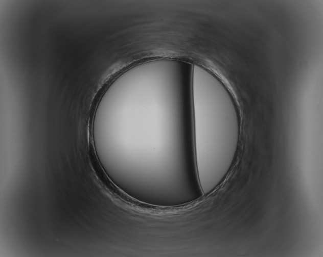 X0000086000011200703230859