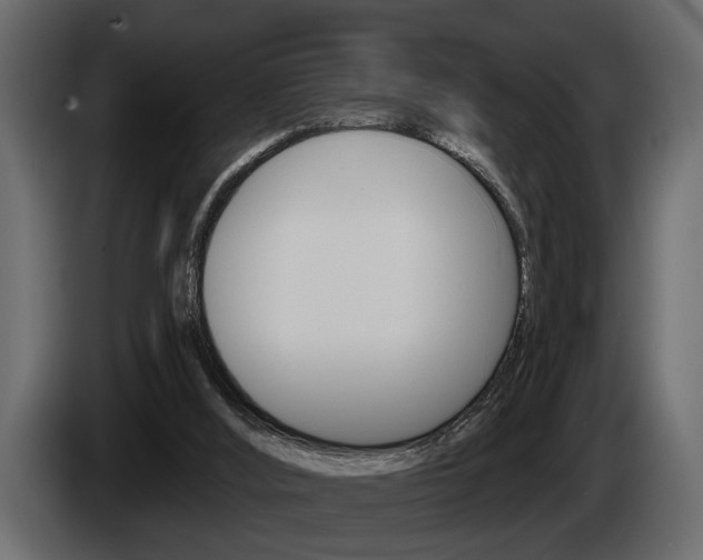 X0000086000012200703230859