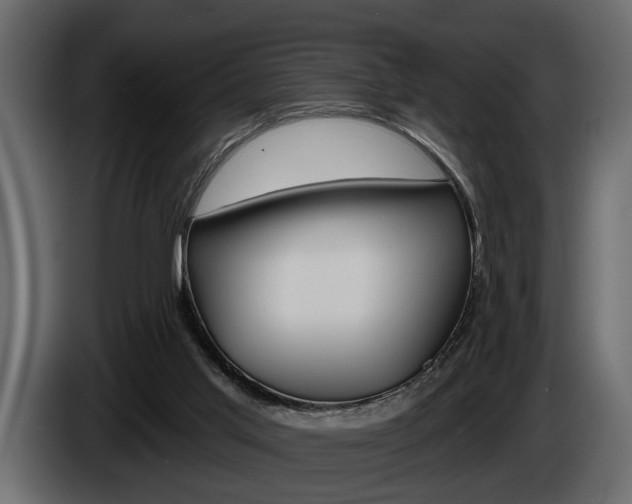 X0000086000013200703230859