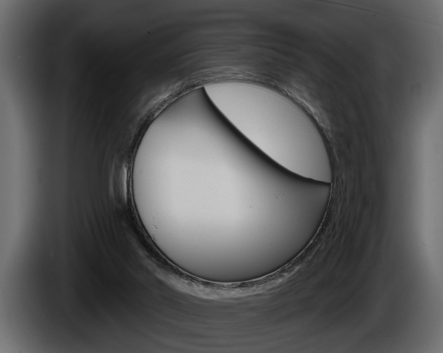 X0000086000014200703230859