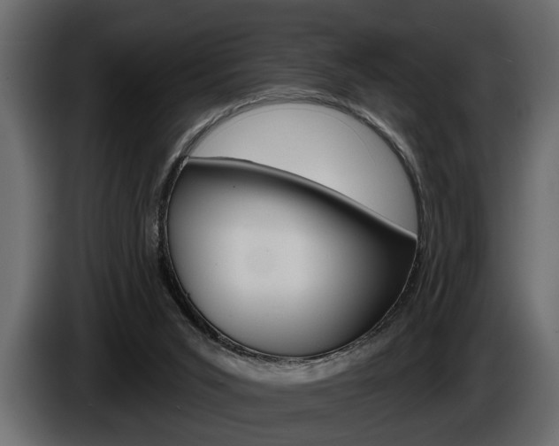 X0000086000015200703230859