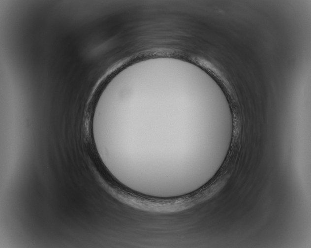 X0000086000016200703230859