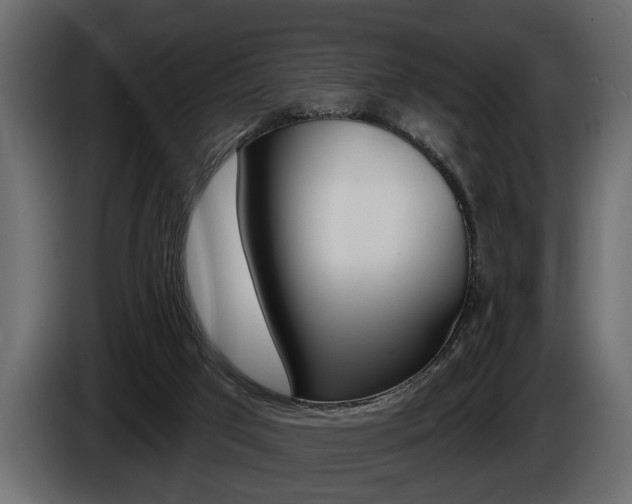 X0000086000017200703230859