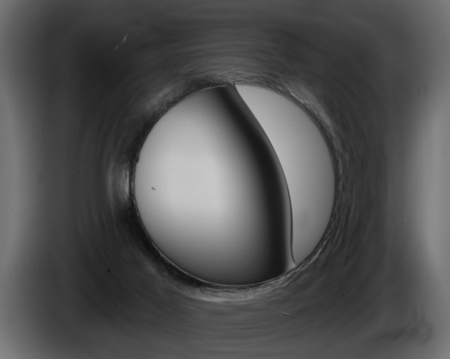 X0000086000021200703230859