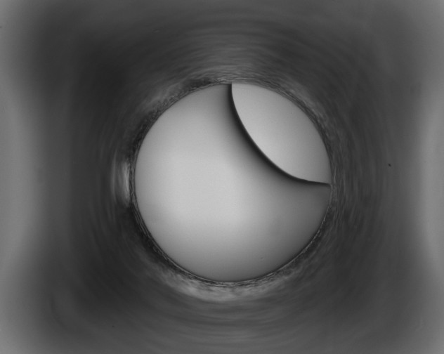 X0000086000022200703230859