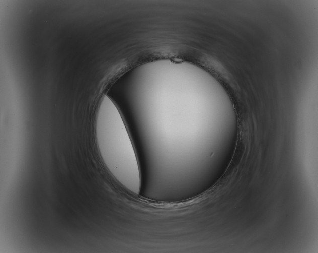 X0000086000023200703230859