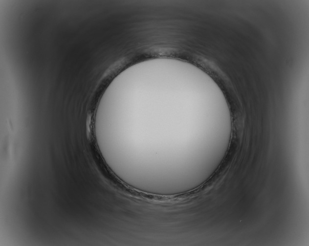 X0000086000024200703230859