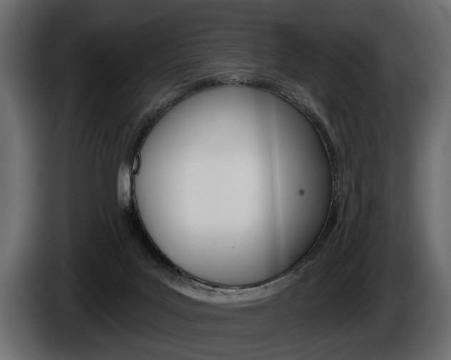 X0000086000027200703230859