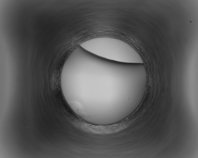 X0000086000030200703230859