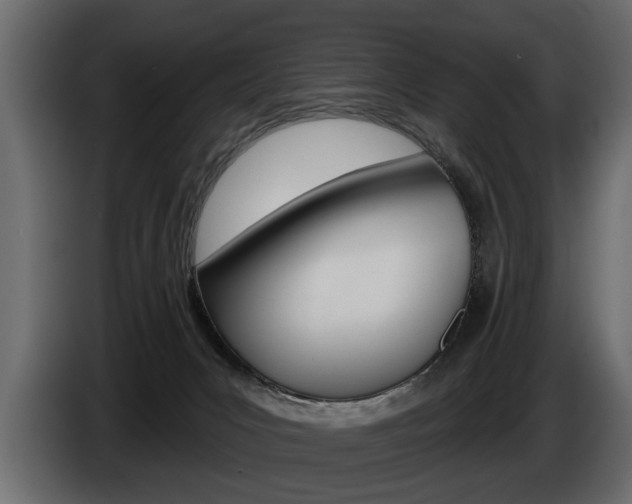 X0000086000031200703230859