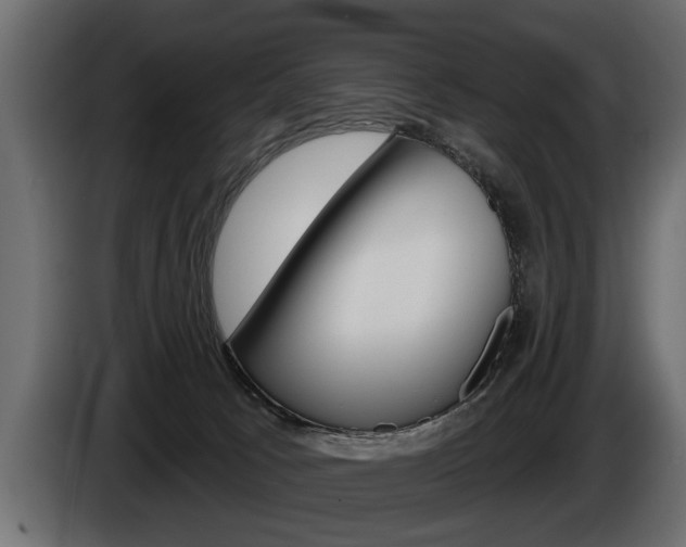 X0000086000033200703230859