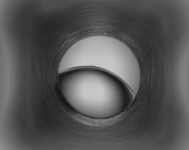 X0000086000035200703230859