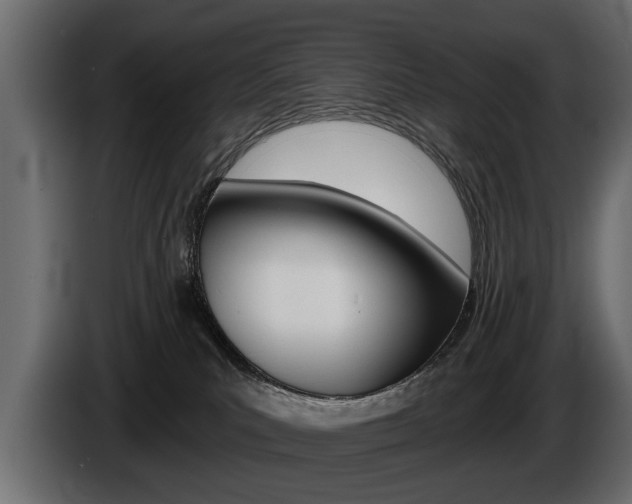 X0000086000039200703230859