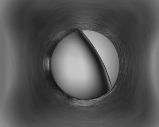 X0000086000041200703230858
