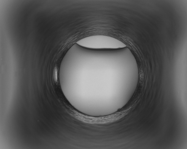 X0000086000046200703230858