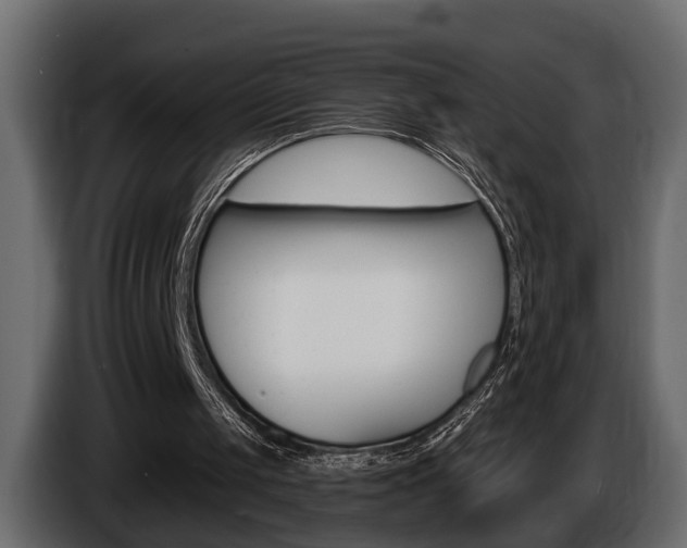 X0000086000049200703230858