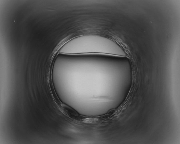 X0000086000051200703230858