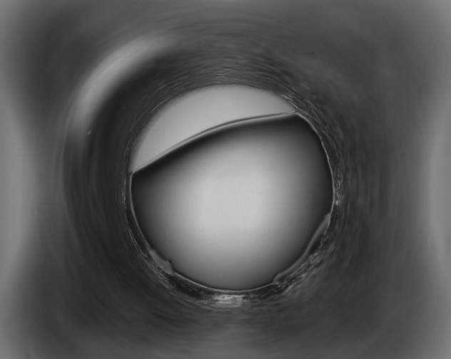X0000086000052200703230858