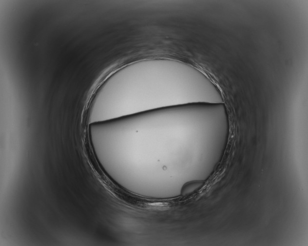X0000086000053200703230858