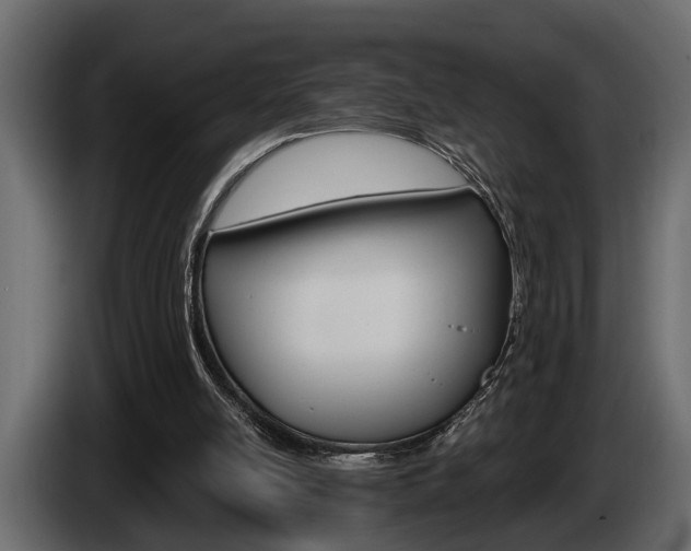X0000086000054200703230858