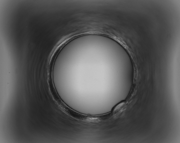 X0000086000055200703230858