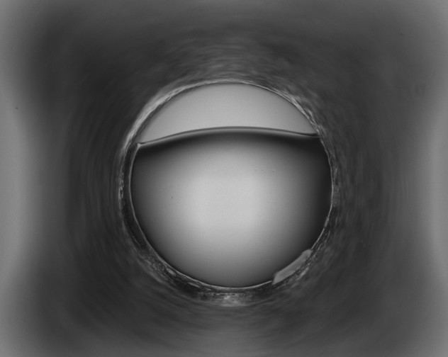 X0000086000056200703230858