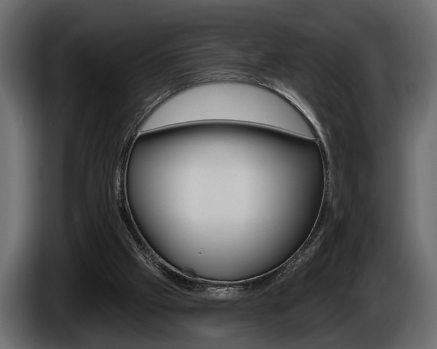 X0000086000057200703230858