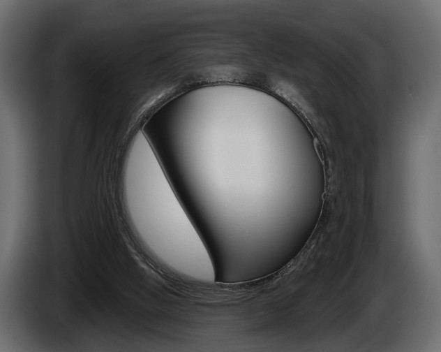 X0000086000058200703230858