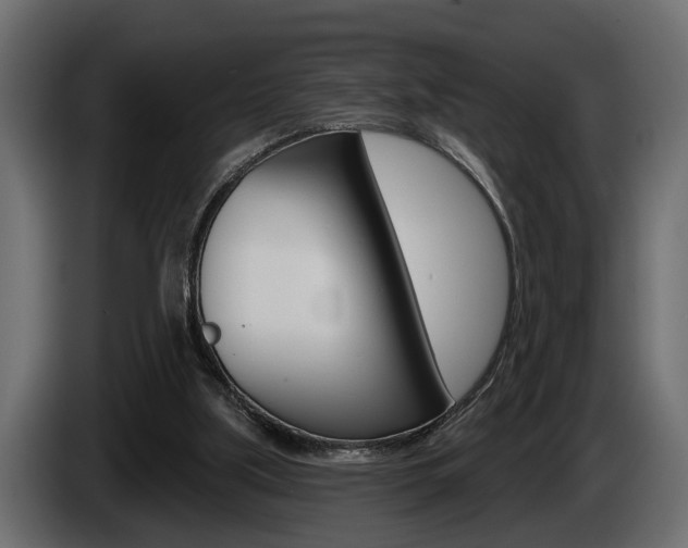 X0000086000059200703230858
