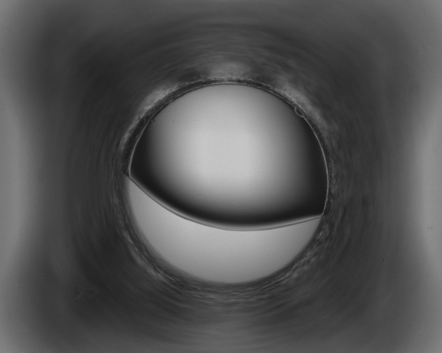 X0000086000060200703230858