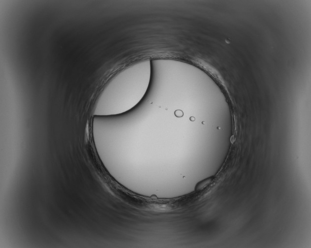 X0000086000061200703230858