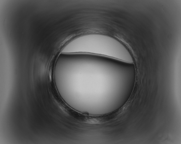 X0000086000062200703230858